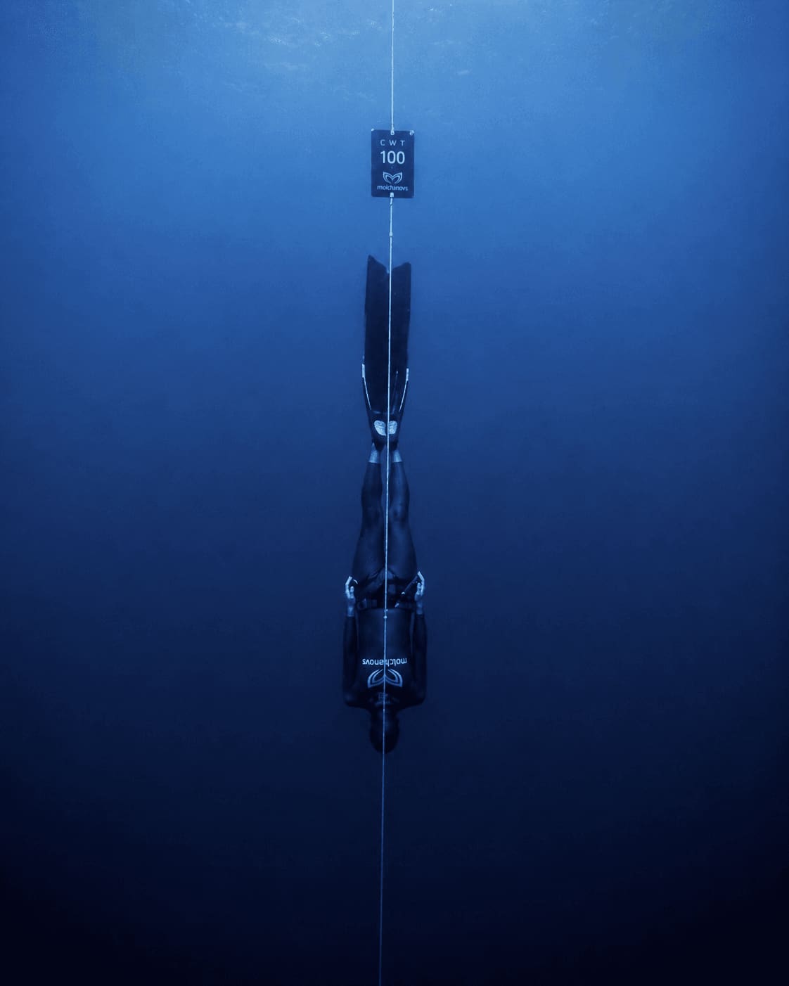 Freediving Disciplines Explained: STA, DYN, CWT, FIM, CNF