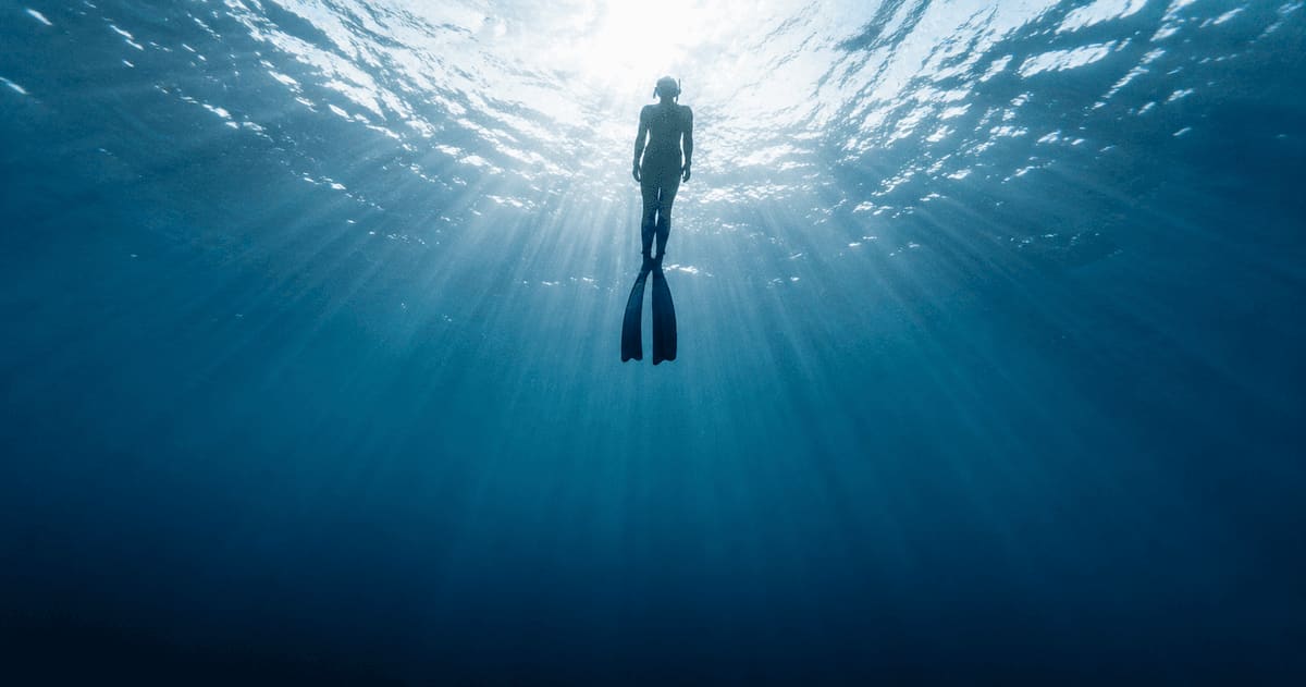 How to Freedive: A Complete Beginner Guide to Your First Dives